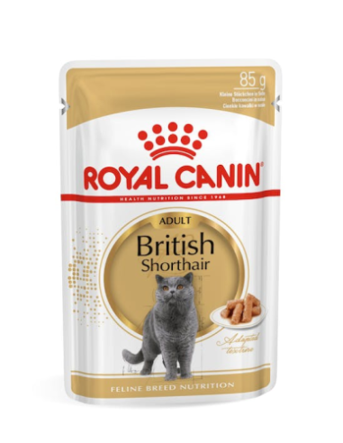 Royal Canin British Shorthair Salsa
