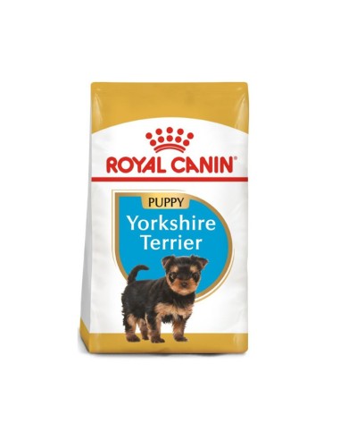 Royal Canin Yorkshire Terrier Puppy pienso para perros
