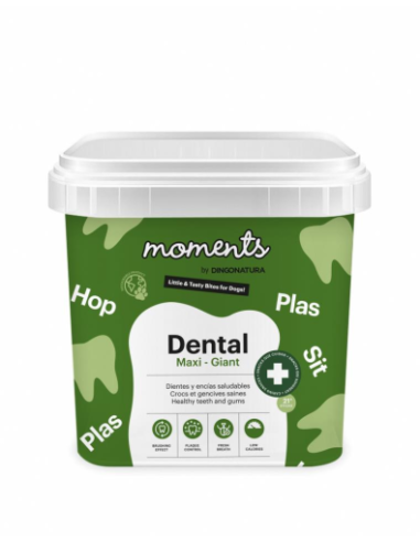 Moments Dental Maxi y Giant